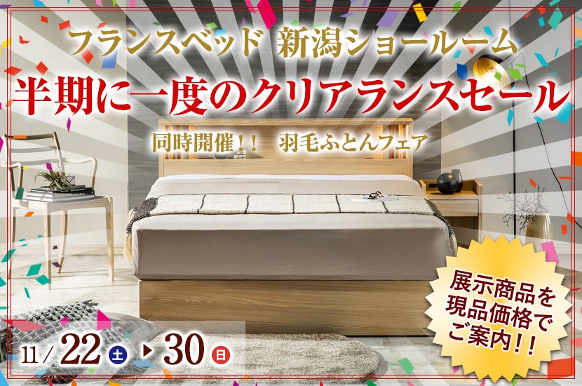 新潟県でアウトレット家具(インテリア)の電動ベッド・France Bed