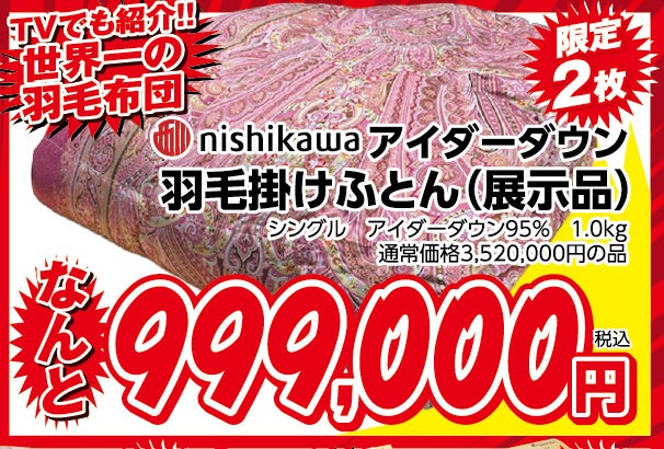テレビでも紹介!!世界一の羽毛ふとん
nishikawa アイダーダウン羽毛掛けふとん(展示品)
