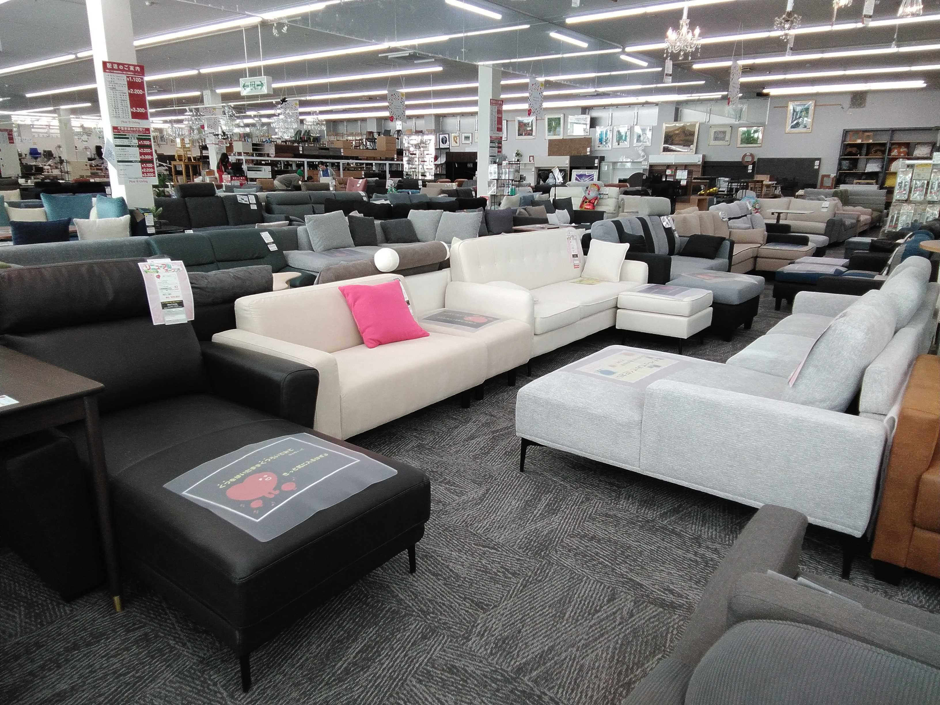 限定100本】早い者勝ちフェア！ 2/7 10時から開催! in プラスリビング