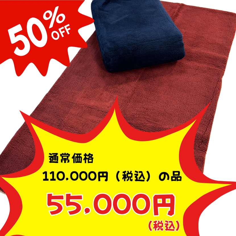 1冊_在庫1点 【大特価｜送料込】★現品のみ★愛知県新城市 5/17・/18】アトム電器 株式会社あみや商事 | 大感謝祭【2025年】 地図・旅行ガイド