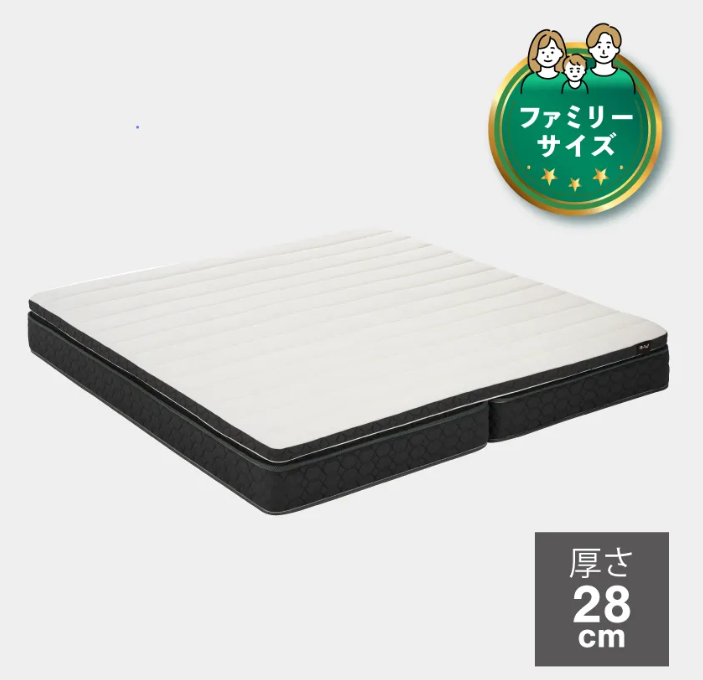 人気のファミリータイプにお求めやすい新モデルが登場！