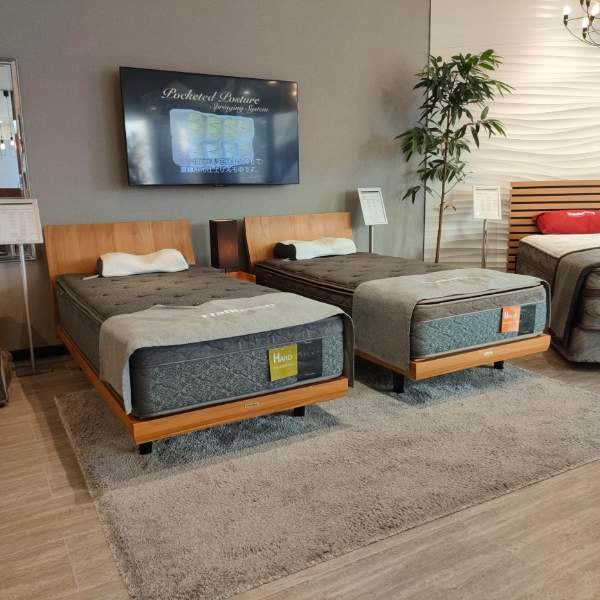 【大特価】定価36万円　フランスベッド フランスベッド神戸 夏のベッド大集合ご優待会！！｜兵庫県の