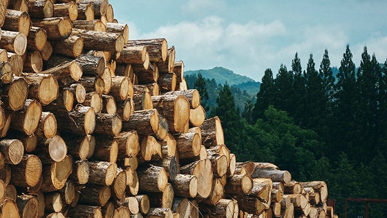 ［木］wood