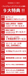 ダミー