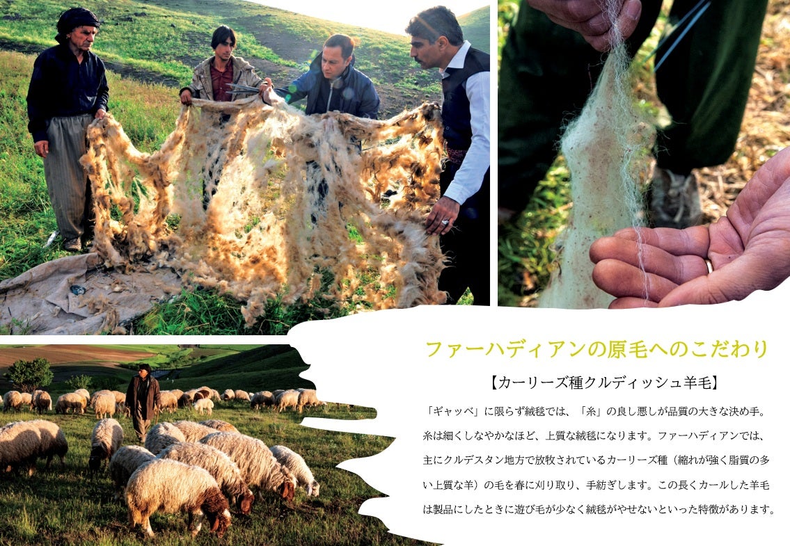 イラン・カシュガイ遊牧民～その誇り高き姿～向村春樹写真展 【同時