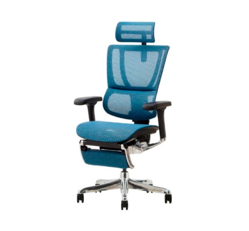 Ergohuman FIT2 Pro