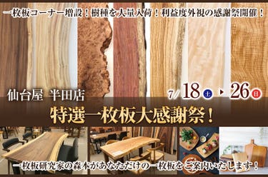 特選一枚板大感謝祭！in仙台屋半田店