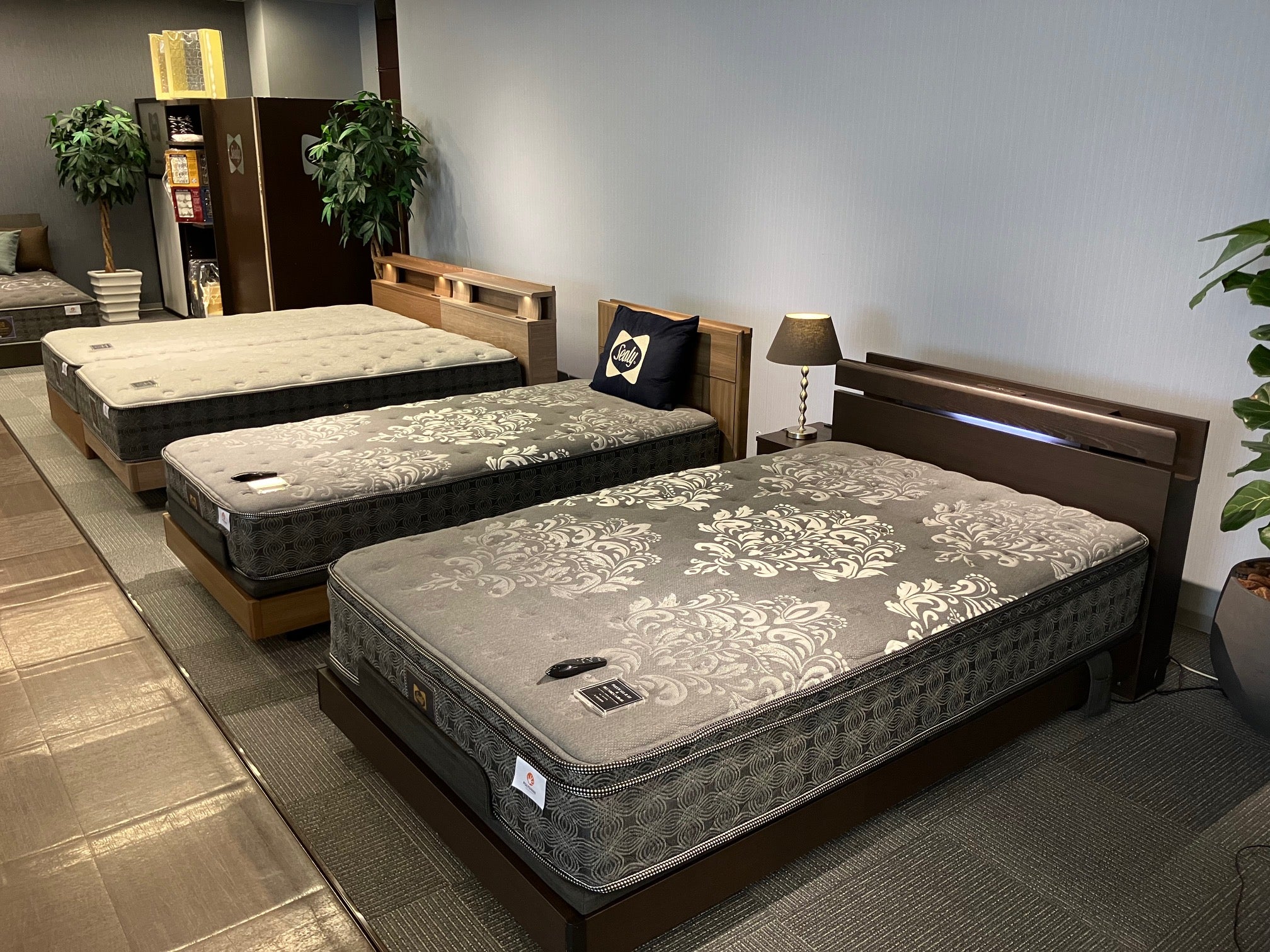進化しつづけるしなやかで優しい眠り、「チタンコレクション」
