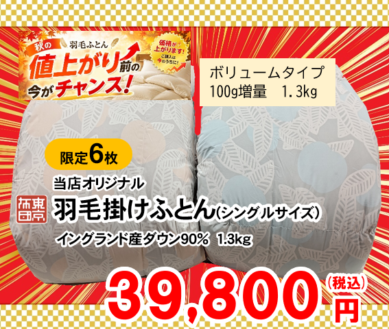 【今だからできる特別価格】
羽毛増量タイプ！
イングランド産ホワイトダウン９０%