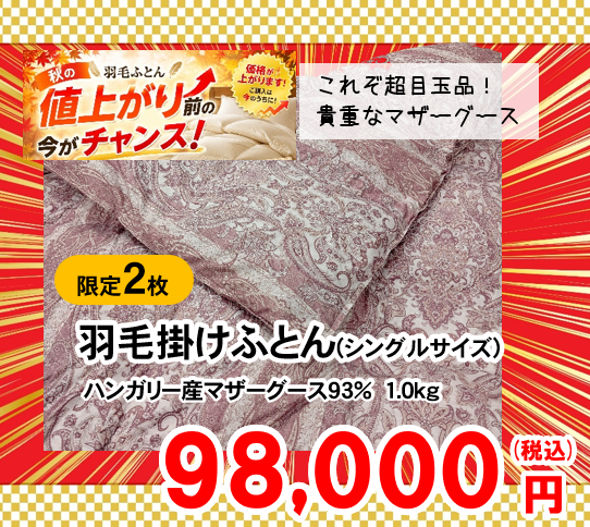 【今だからできる特別価格】
高品質のマザーグースダウン
残り枚数が少ない為特別価格です!!!