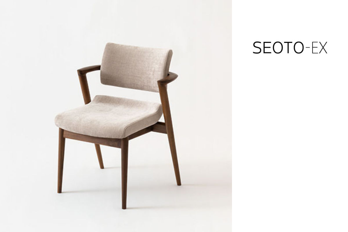 SEOTO-EX
