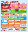 テキスト