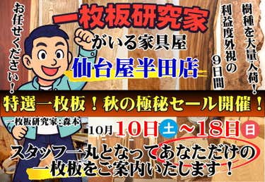 特選一枚板！秋の極秘セール開催！in仙台屋半田店