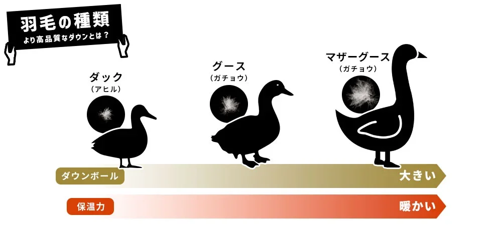 羽毛の種類（ダック、グース、マザーグース）