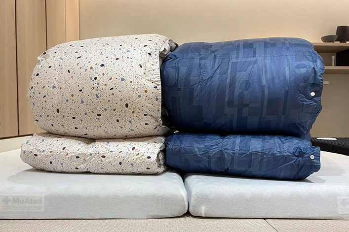 ２枚合わせ羽毛掛けふとんドイツ産ホワイトダックダウン90％