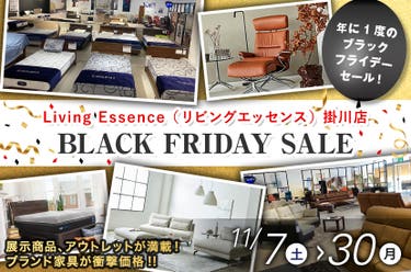 BLACK FRIDAY SALE