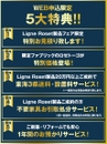 ダミー