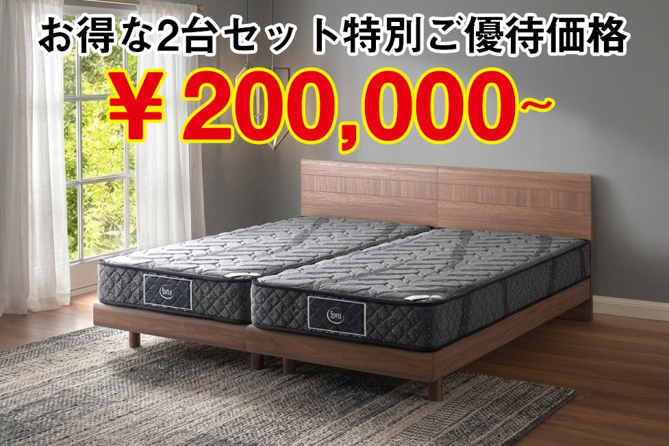 アリウム2231/2232＋サータアリウムのお得な2台セット！