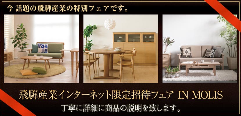 飛騨産業インターネット限定招待フェア　IN MOLIS